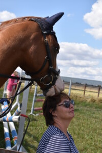 Pferd knabbert an Kopf
